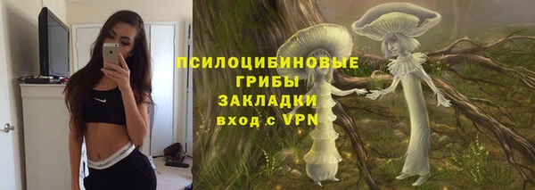 прущие крисы Михайлов