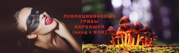 прущие крисы Михайлов