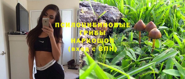 прущие крисы Михайлов