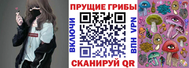 блэк спрут   Фролово  это клад  Галлюциногенные грибы Cubensis 