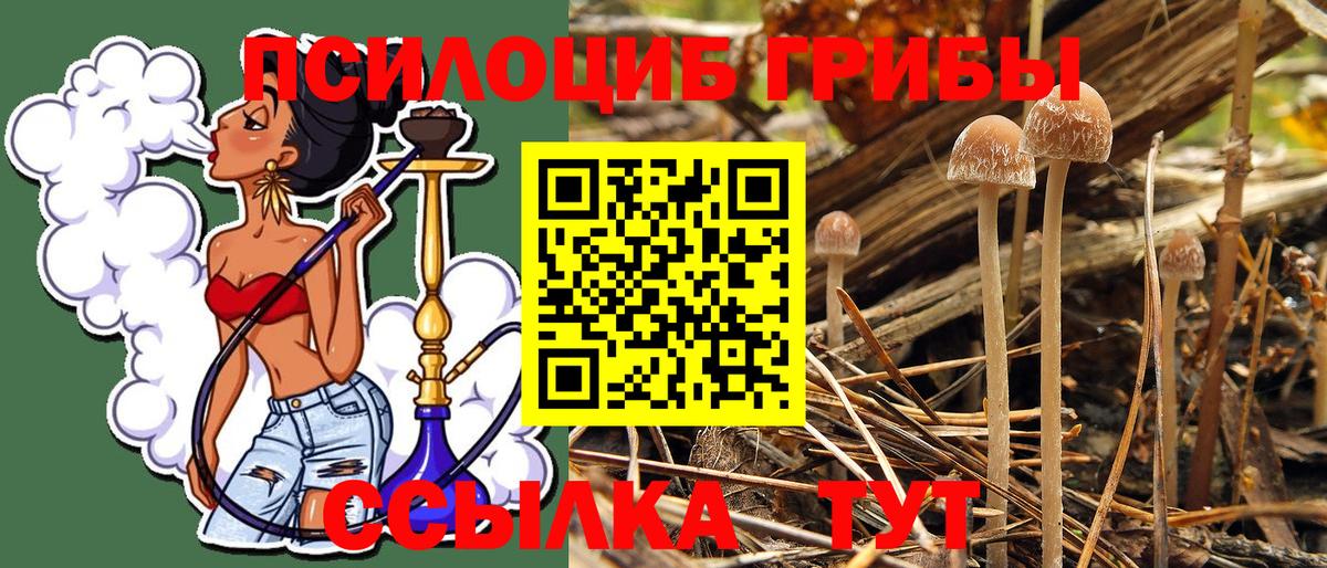 Галлюциногенные грибы Cubensis  Вход с VPN  закладки  Фролово  Галлюциногенные грибы мицелий 